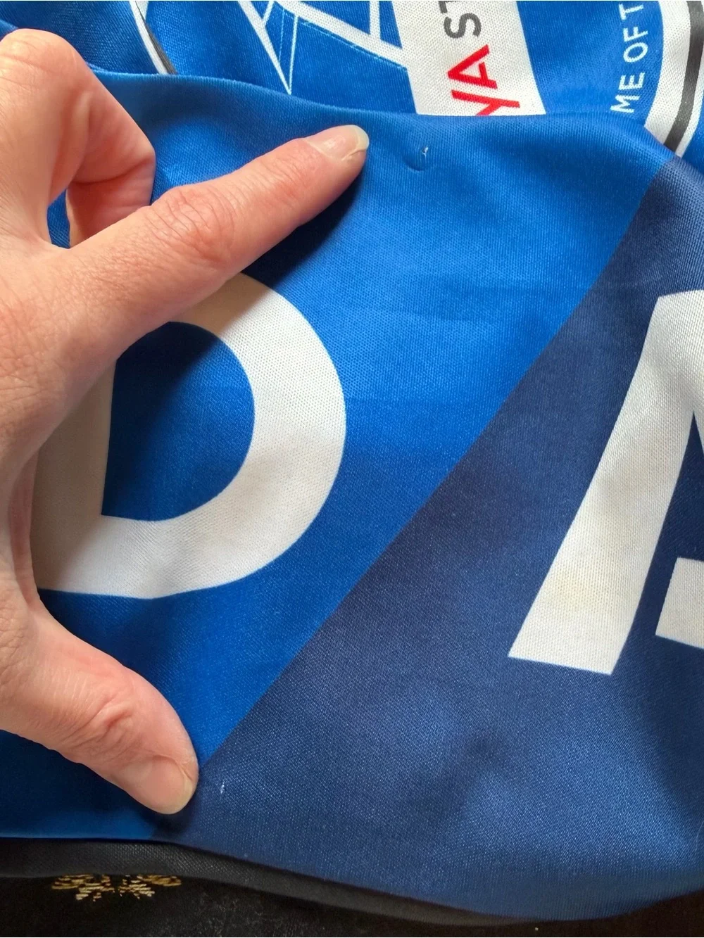 San Jose Earthquakes Avaya Stadium Blue Scarf Quakes